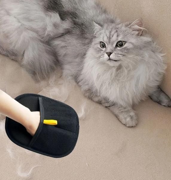 Dual-Sided Pet Hair Removal Glove (Pack of 2)